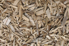 biomass boilers Lustleigh Cleave
